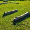 A field with some logs in the grass