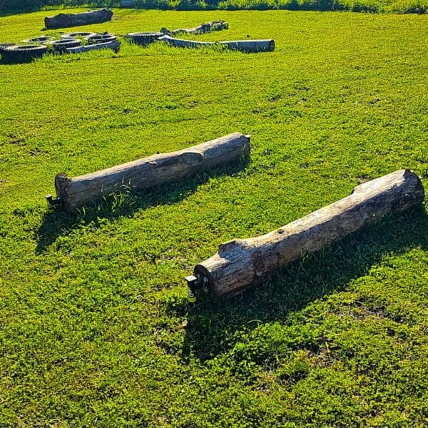A field with some logs in the grass