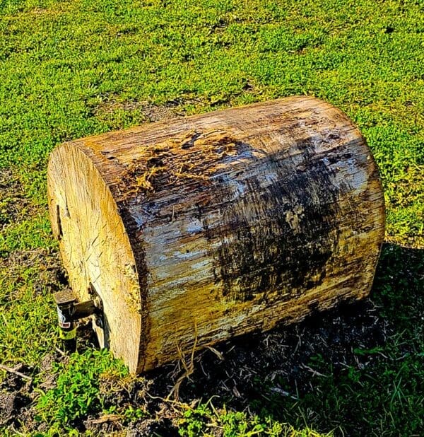 A log sitting in the grass near some water.