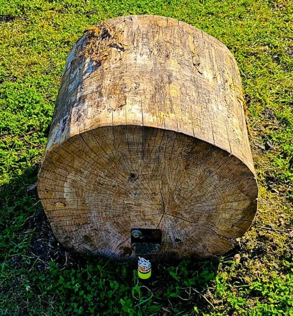 A wooden log sitting in the grass near some water.
