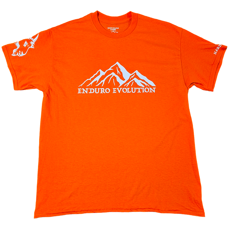 A t-shirt with an image of mountains on it.